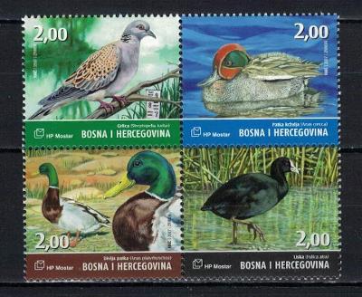 Bosna a Hercegovina 2007 - ptáci