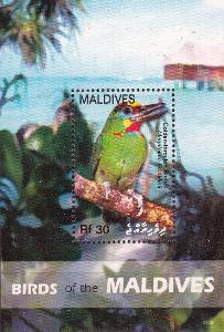 Ptáci - Maledivy