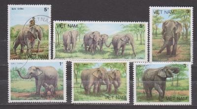 Vietnam - sloni 