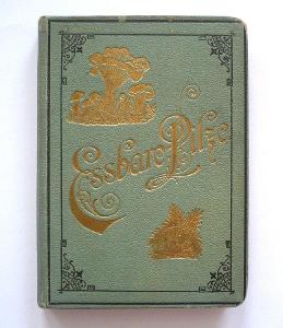 1898 příručka Essbare Pilze, Jedlé houby
