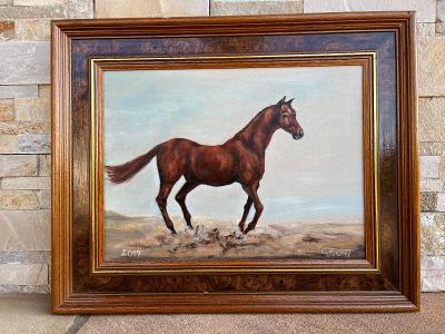 Olej na plátně - Kůň, signováno 