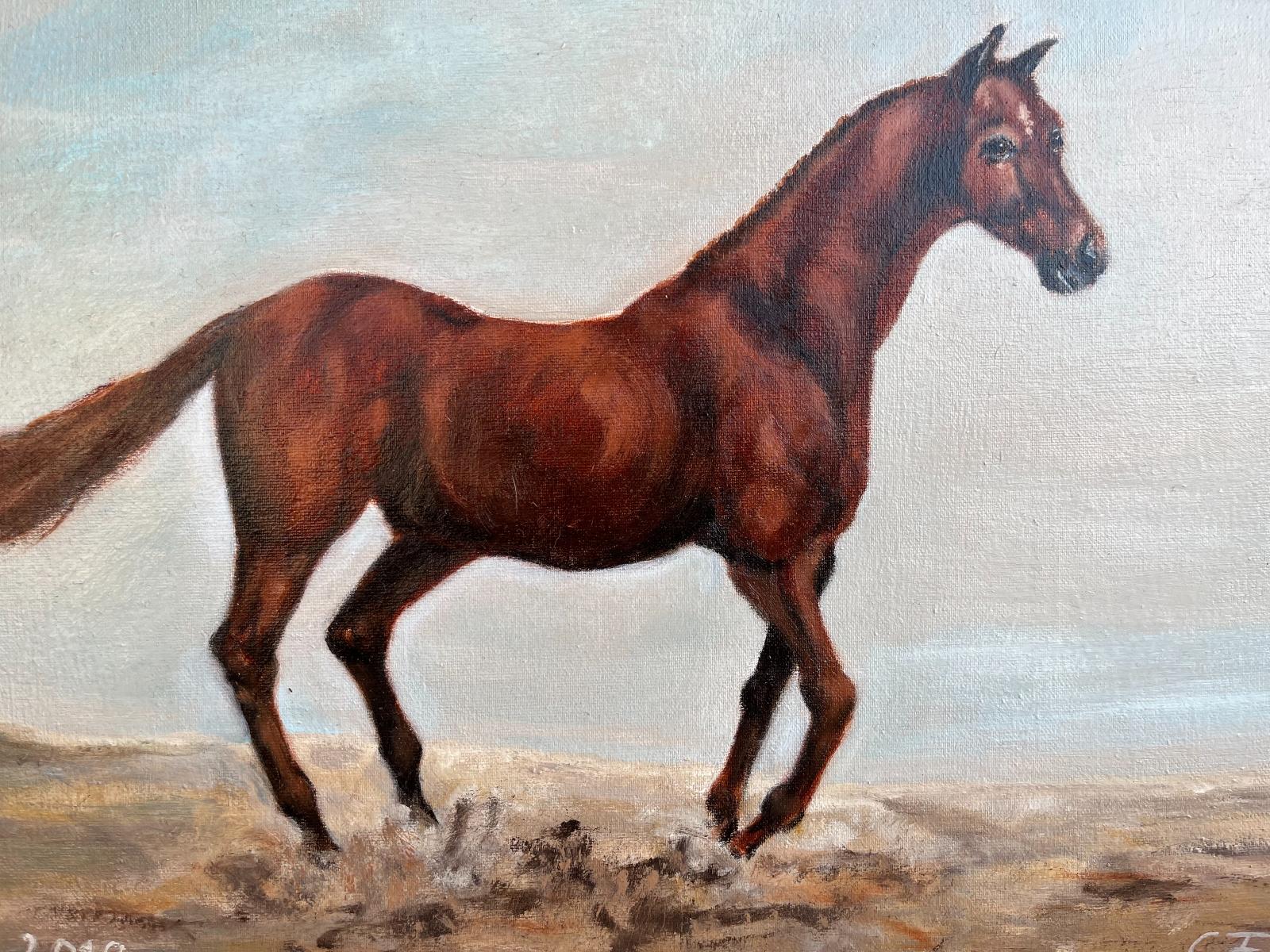 Olej na plátně - Kůň, signováno  - Umění