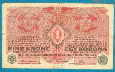Rakousko-Uhersko 1 koruna 1.12.1916 z oběhu