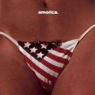 CD BLACK CROWES THE - Amorica