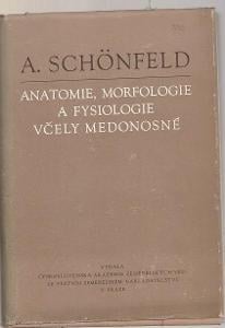 Anatomie, morfologie a fysiologie včely medonosné - Schönfeld a/s
