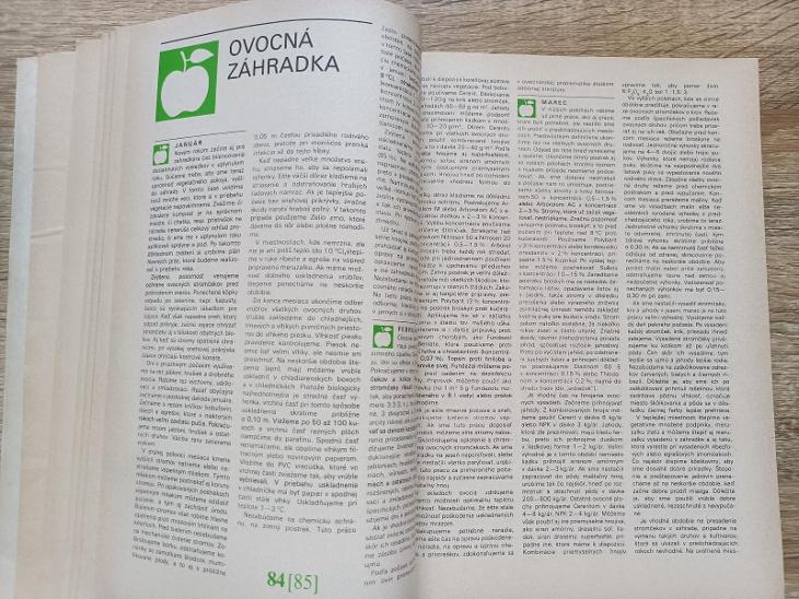 kalendář - DOMOVÁ POKLADNICA 1982  - Starožitnosti a umění