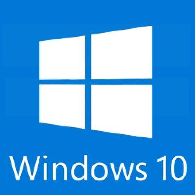 Windows 10 Professional licence