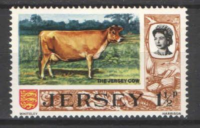 ** JERSEY 1a1/2p kráva 1971
