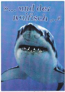 Německo - žralok