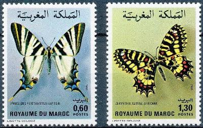 Motýli - Maroko