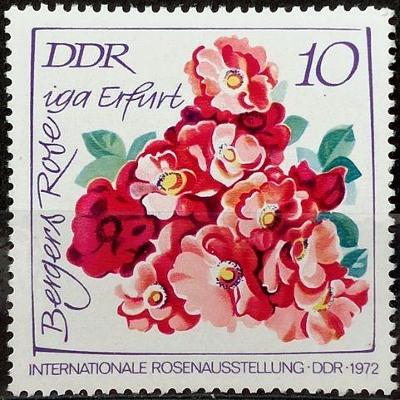 DDR: MiNr.1764 Berger’s Erfurt Rose 10pf, Int. Rose Exhibition ** 1972