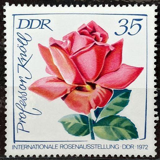DDR: MiNr.1768 Prof. Knoll 35pf, International Rose Exhibition ** 1972