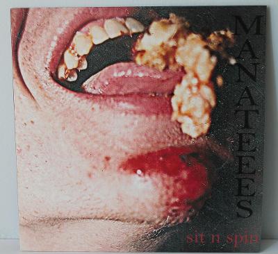Manateees - Sit N Spin (LP), Punk, Noise