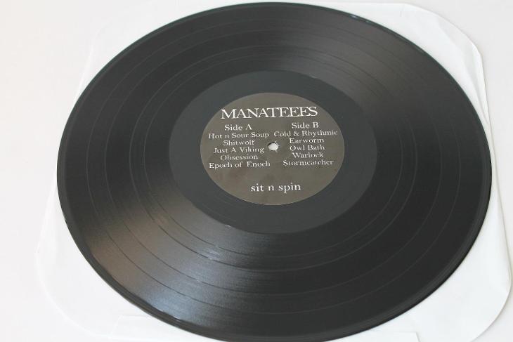 Manateees - Sit N Spin (LP), Punk, Noise - Hudba