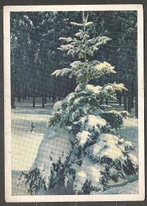 Vánoce a Nový rok 1970 NDR smrček pod sněhem, 06