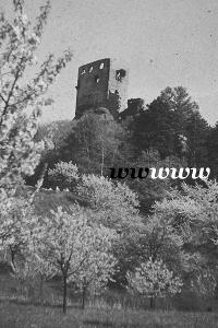 Valečov, zřícenina hradu, 1966