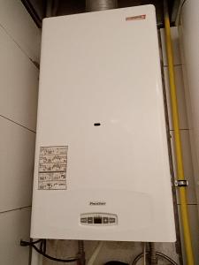 Protherm panther 24kw na dily