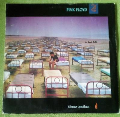 LP Pink Floyd - A Momentary Lapse of Reason  EX+