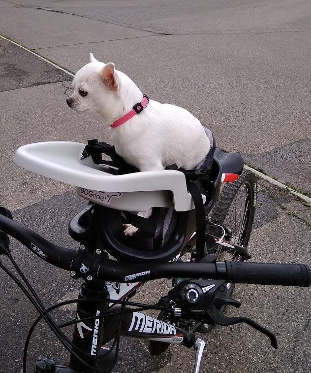 Sedačka pro psy na kolo