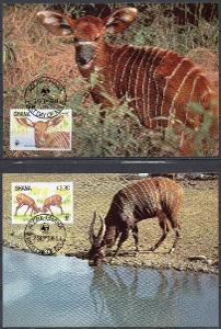 Ghana-Antilopa Bongo WWF 1984* Mi.1060-1063/4MK / 65.-Kč / 2 skeny