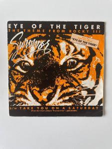 Survivor - Eye of the tiger 1982