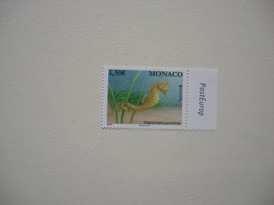 Monako, zvěř EUROPA r. 2021