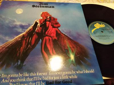 LP Jim Steinman, EX+, Topstav