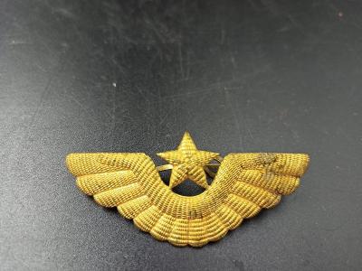 Ruský odznak/Zlatá křídla a hvězda/7x3 cm...(14099)