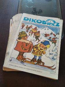 Dikobraz 1977