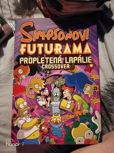 FUTURAMA a SIMPSON kniha komiks