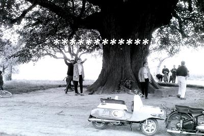 skútr u ohromného stromu, 1966