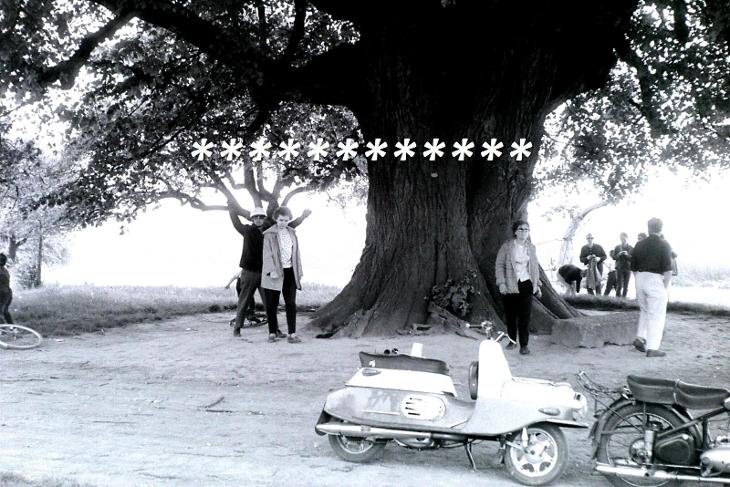 skútr u ohromného stromu, 1966 - Sběratelství
