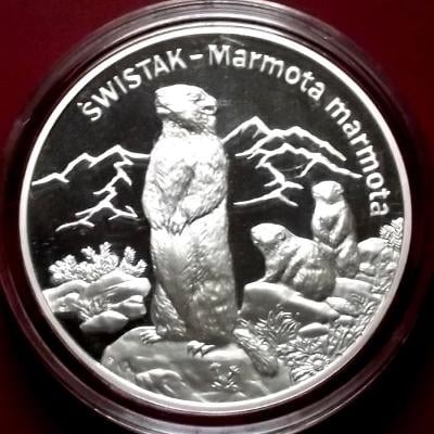 Velká ,těžká , Stříbrná mince 20 Zlotých Svišť 2006 , pěkná