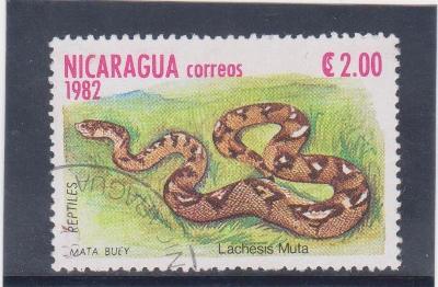 Fauna-Nikaragua-od korunky!