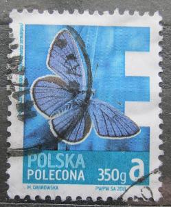 Polsko 2013 Modrásek lesní Mi# 4627 1804