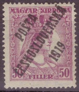 PČ 1919 (ČSR I) - Známka č. 123 (královna ZITA) (0906)