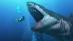 Megalodon - Žraločí zub 13 míľ rokov - USA Carolina 30 mm - Zberateľstvo