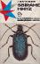 Sbíráme hmyz a zakládáme entomologic. sbírku 1974 - Knihy