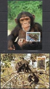 Sierra Leone-Šimpanzi WWF 1983* Mi.713-716/4 MK/ 11 € / 2 skeny