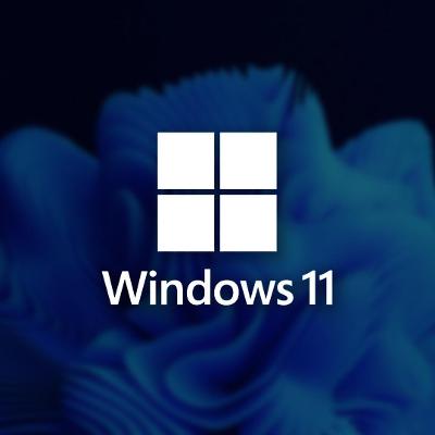 Windows 11 Pro i Home | ORIGINÁLNÍ LICENCE | NEJLEVNĚJŠÍ NA AUKRU