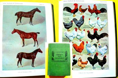 Schlipfsova populární příručka zemědělství 18 barevných tabulí (1914)	