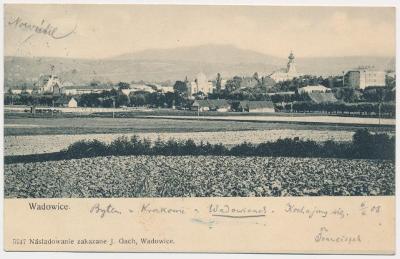 Polsko, Wadowice, celkový pohled na město, prošlé poštou 1908