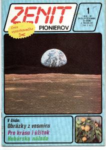 ZENIT PIONIEROV 1989 - 0 1 - 24 AJ VYSTRIHOVACKY