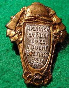 odznak-DOLNÍ BŘEZINCE-ŽUPNÍ SJEZD 1934 