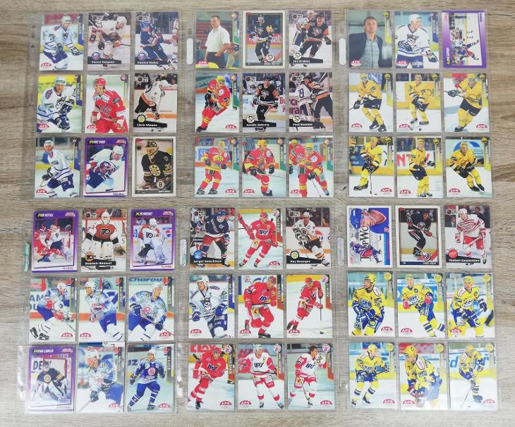 SBÍRKA HOKEJOVÉ KARTIČKY - 1991 - 1997 (cca) - vše nafoceno  - Hokejové karty