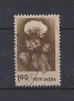 Zámoří - Indie
