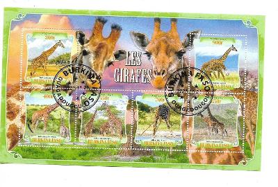 Burkina Faso 2021-žirafa angolská+masajská+severní+Rothschildova+kapsk