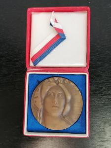 Pamětní bronzová medaile v etuji Ema Destinnnová 1878 - 1978