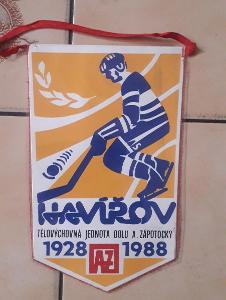 Vlaječka TJ Havířov hokej 1988