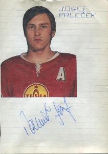 Josef Paleček - reprezentace - Tesla Pardubice - hokej